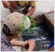 Cách thông cống ngầm nhanh nhất