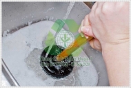 Nên mua cây thông bồn cầu ở đâu?