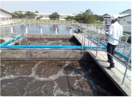 Top 5 công ty cung cấp vận chuyển bùn vi sinh quận 12 chất lượng