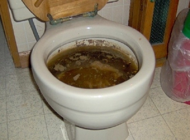 Ảnh hưởng của bồn cầu bị tắc vật cứng