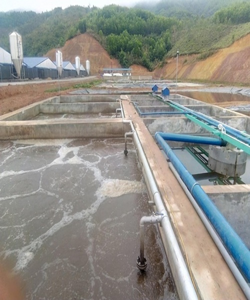 Top 5 c&ocirc;ng ty cung cấp dịch vụ vận chuyển b&ugrave;n vi sinh quận 6 uy t&iacute;n