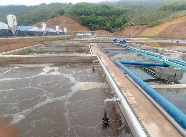 Cung cấp b&ugrave;n vi sinh B&igrave;nh Phước uy t&iacute;n nhất