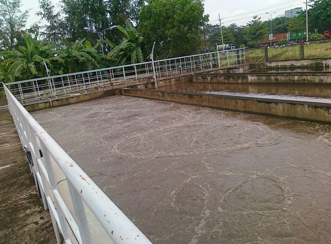 Công ty cung cấp bùn vi sinh quận 10 an toàn