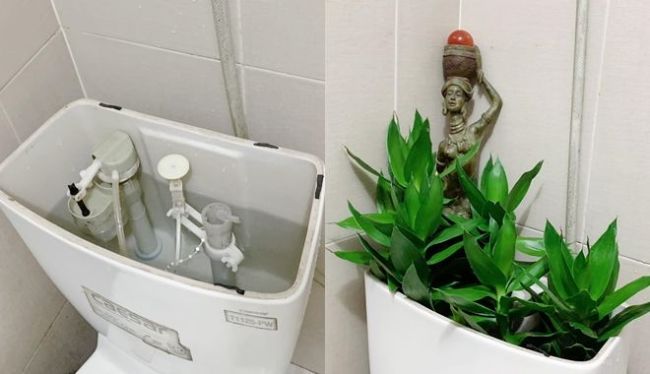 Sử dụng m&aacute;y định vị để kiểm tra kỹ lưỡng phần ống cấp nước