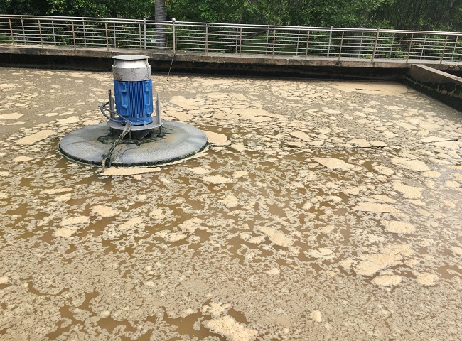 Dầu mỡ trong chất thải cần được xử lý.