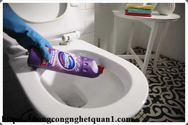 Vệ sinh bồn cầu bằng nước tẩy chuyên dụng
