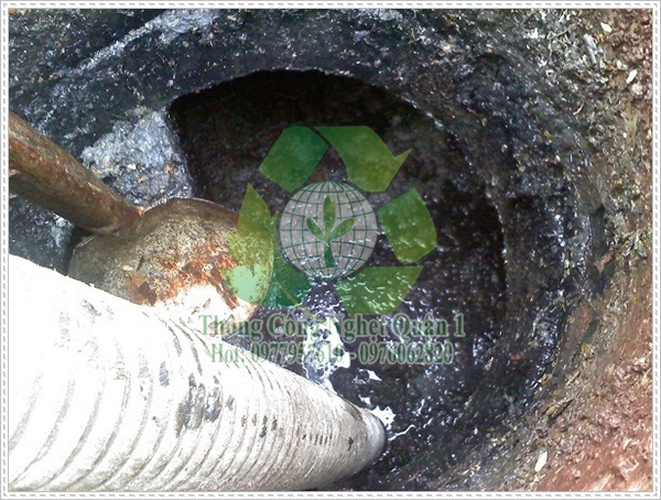 Hậu quả của nước bị &ocirc; nhiễm dầu mỡ