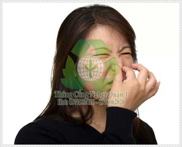 Hút bể phốt tại huyện Chương Mỹ