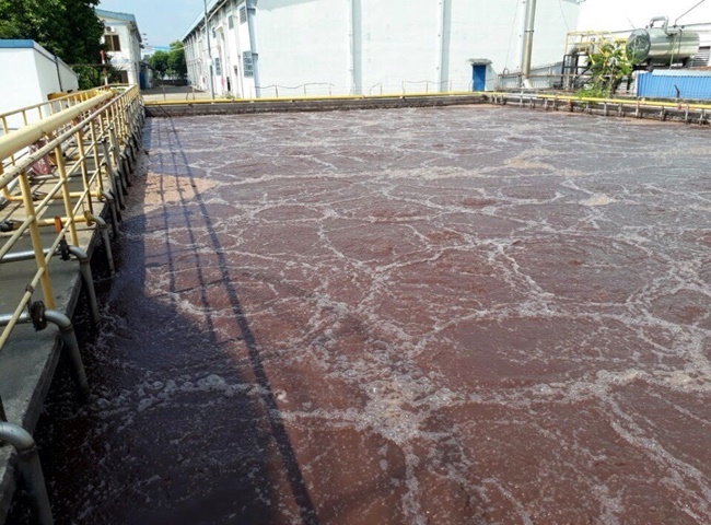 Vận chuyển bùn vi sinh quận Bình Tân giá rẻ an toàn