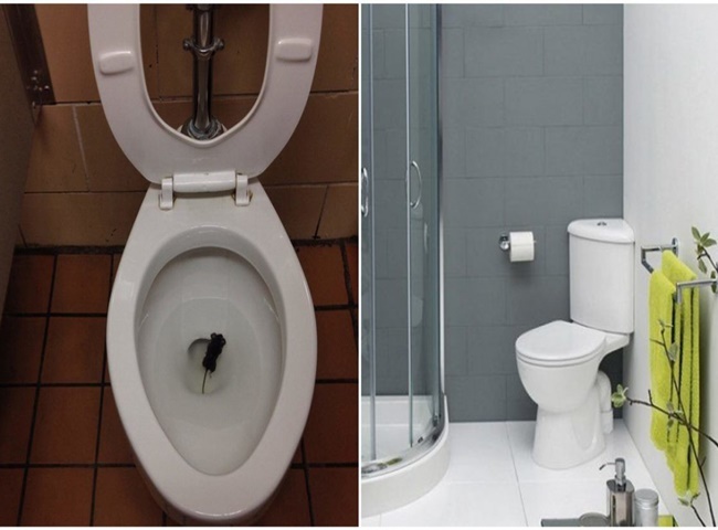 Top 5 c&ocirc;ng ty th&ocirc;ng bồn cầu huyện Củ Chi