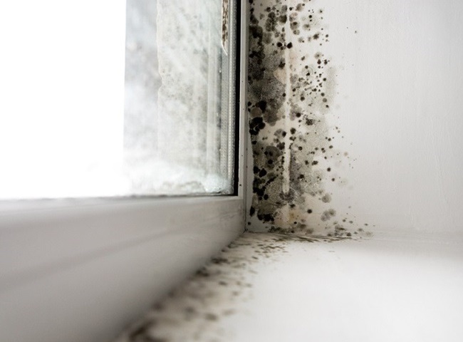 Biểu hiện của ống nước bị gãy