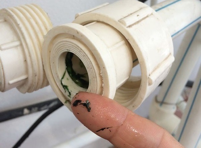 R&ecirc;u trong ống nước đến từ đ&acirc;u