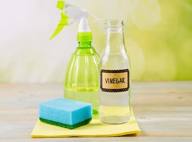 Xử l&yacute; r&ecirc;u trong ống nước bằng giấm